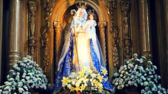 https://uncatolicoperplejo.com/profecias-de-nuestra-senora-del-buen-suceso/