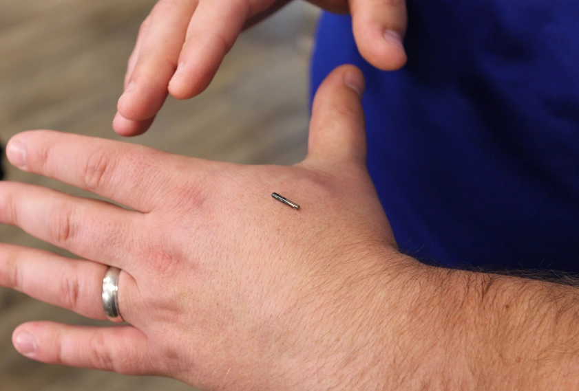 La marca de la bestia de Apocalipsis 13 y 14, posiblemente sea un chip veterinario. https://uncatolicoperplejo.com/la-marca-de-la-bestia-de-apocalipsis/