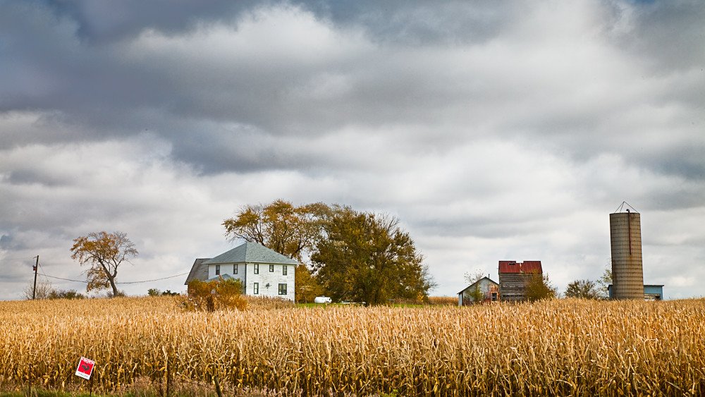 Manuel Diaz (@myn91, Flickr) Autumn Crops
