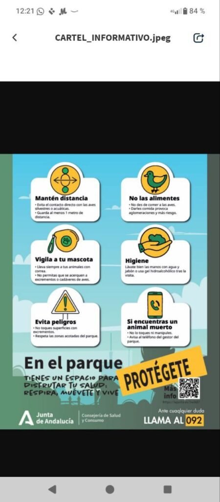 Telegram de La Quinta Columna (12-sept.2025) Medidas Gripe Aviar Andalucia