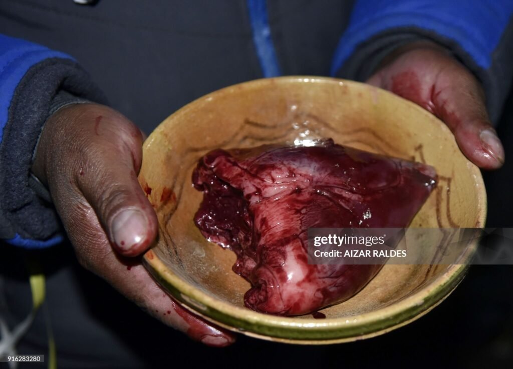 Pachamama. Wilancha. Prevost. Bergoglio. Sínodo amazónico. Bolivia. Minas.