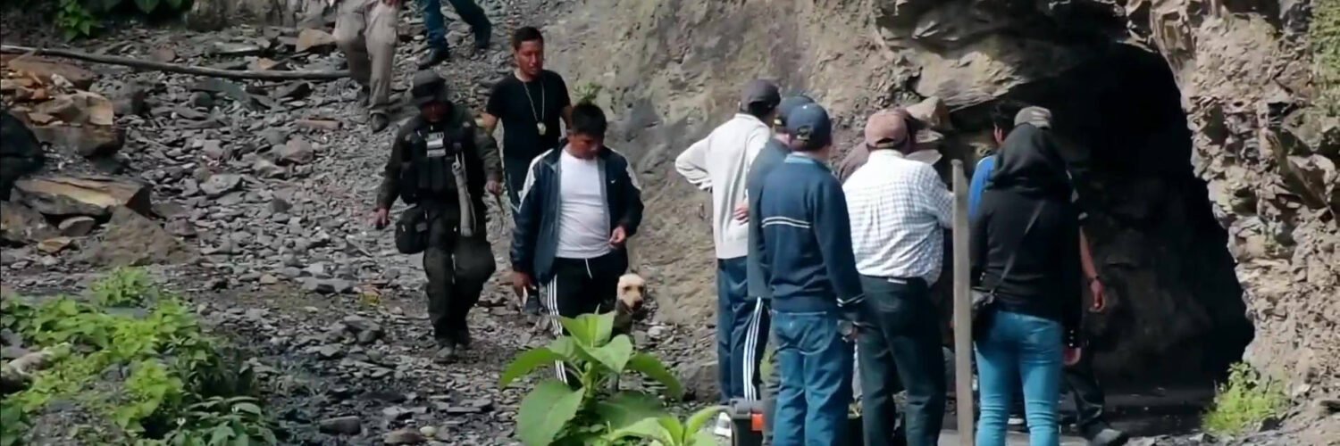 Pachamama. Wilancha. Prevost. Bergoglio. Sínodo amazónico. Bolivia. Minas.